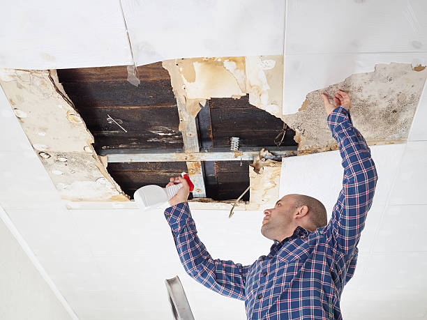 Mold Remediation for Vacation Homes